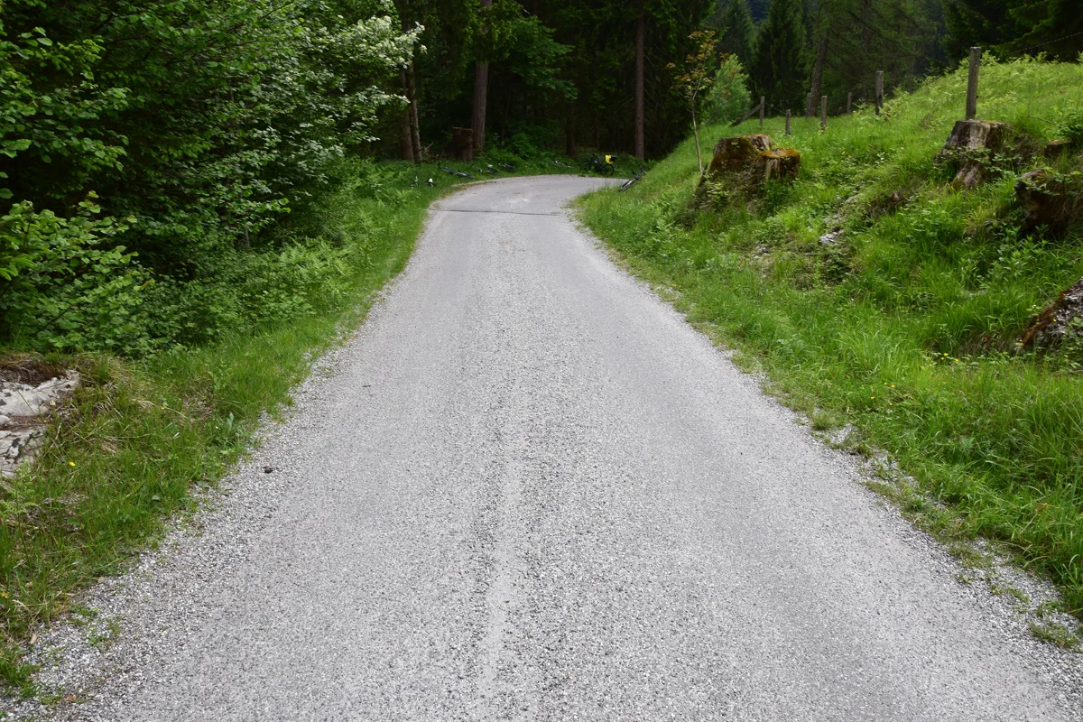 Tamins: Vater und Sohn mit Mountainbike verunfallt