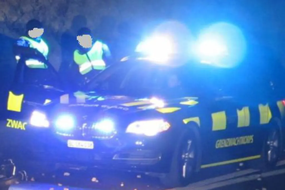 Nenzlingen BL/Metzerlen SO - Trio nach Flucht in geklautem Auto verhaftet