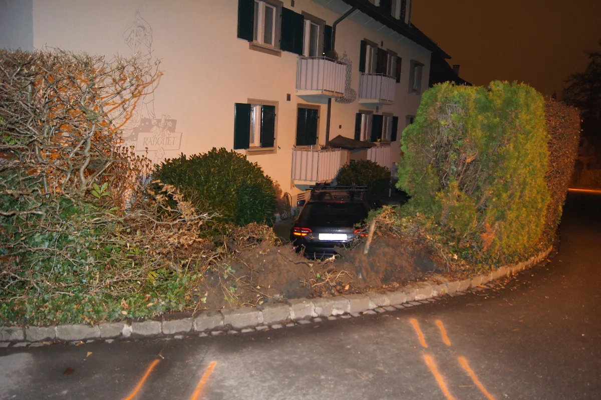 Im Suff durch Zuger Hecke gebrettert