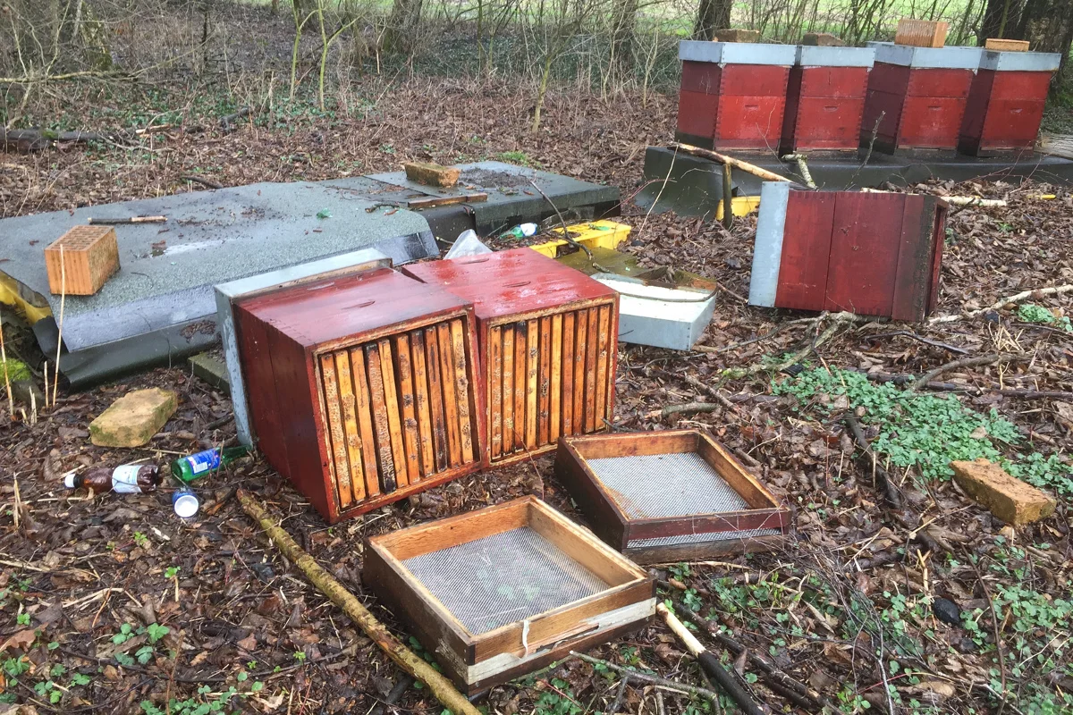 Bienenkästen in Mauren umgeworfen