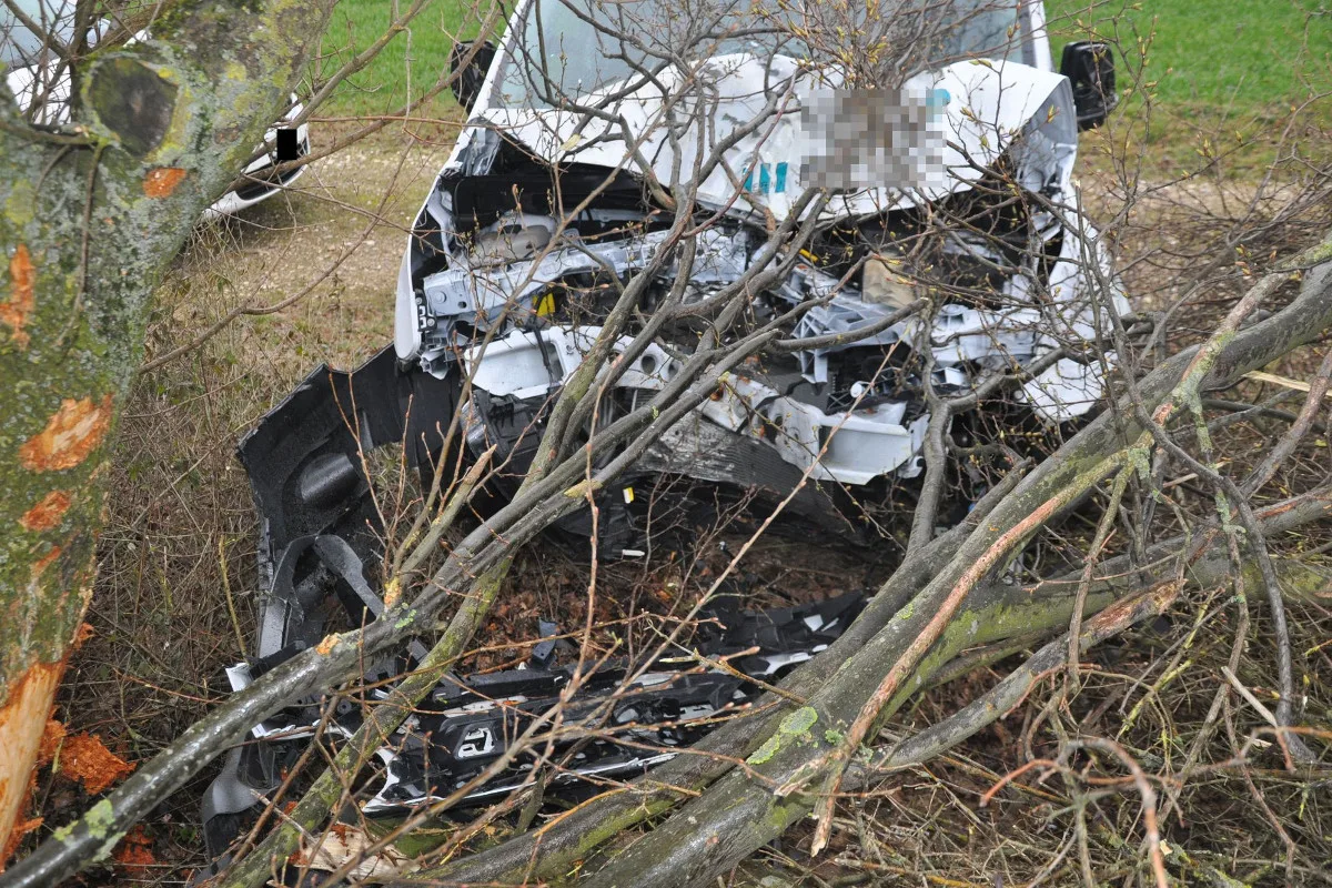 Lieferwagen kracht in Hägendorf gegen Baum