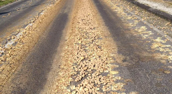 Kartoffeln auf Strasse in Düdingen verstreut