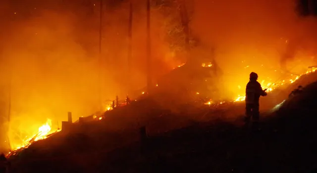 Waldbrand auf dem Churer Rosenhügel erfolgreich bekämpft