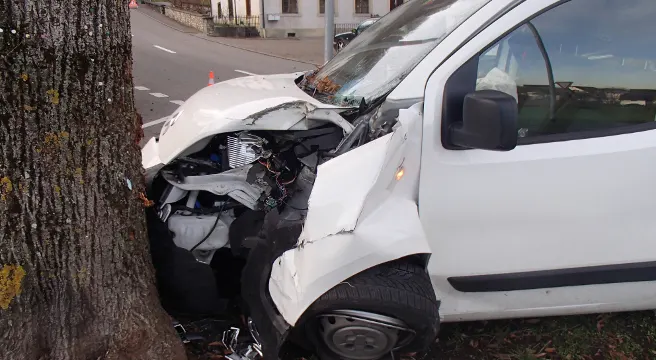 Lieferwagen kollidiert in Fisibach mit Baum 