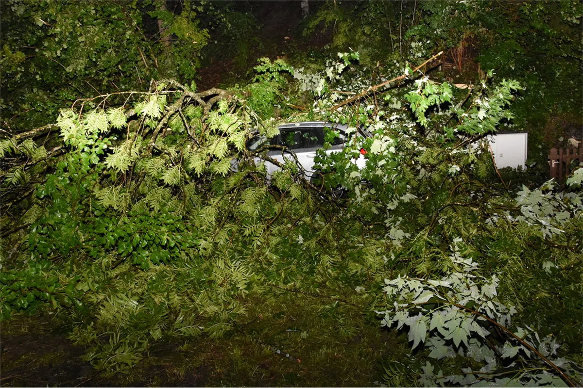 Jonschwil SG - Baum stürzt auf Auto