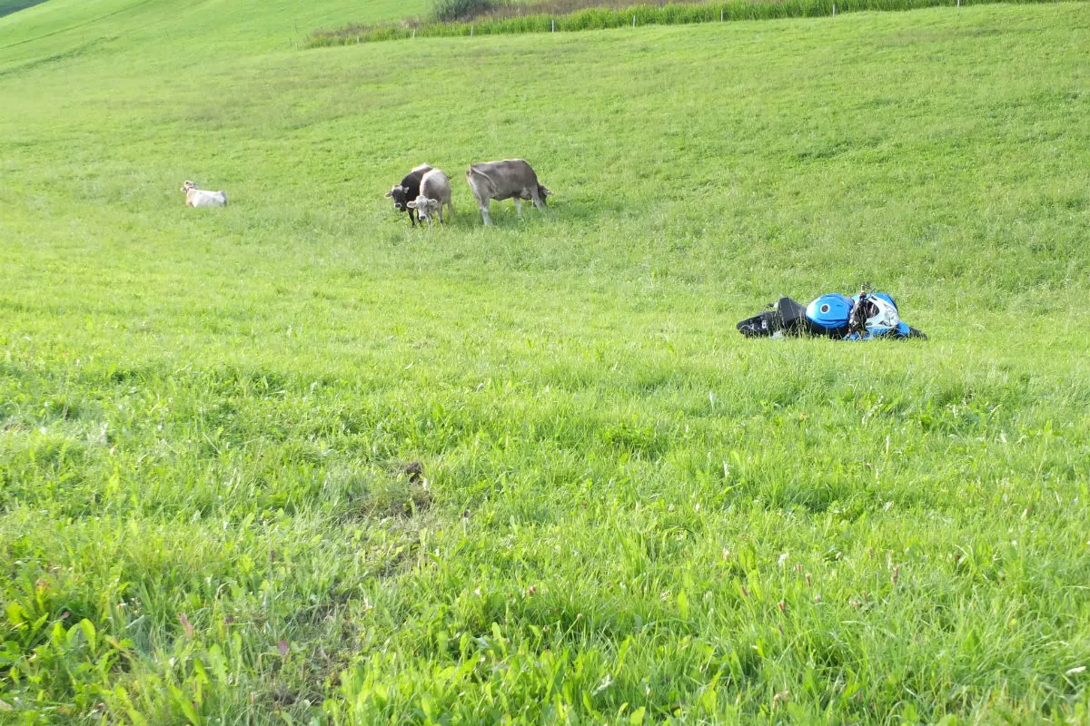 Häggenschwil SG: 21-Jähriger bei Selbstunfall mit Motorrad verletzt