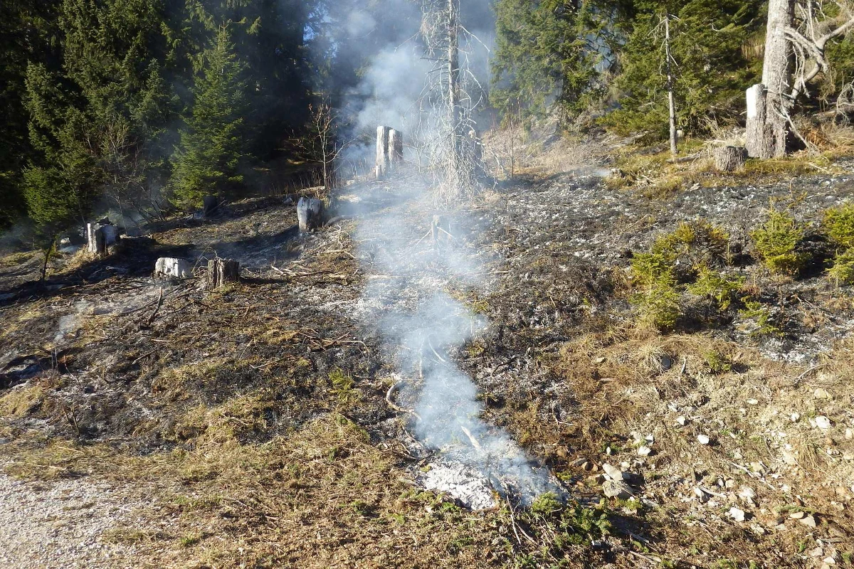 Flächenbrand unterhalb der Alp Schatters Schwyberg