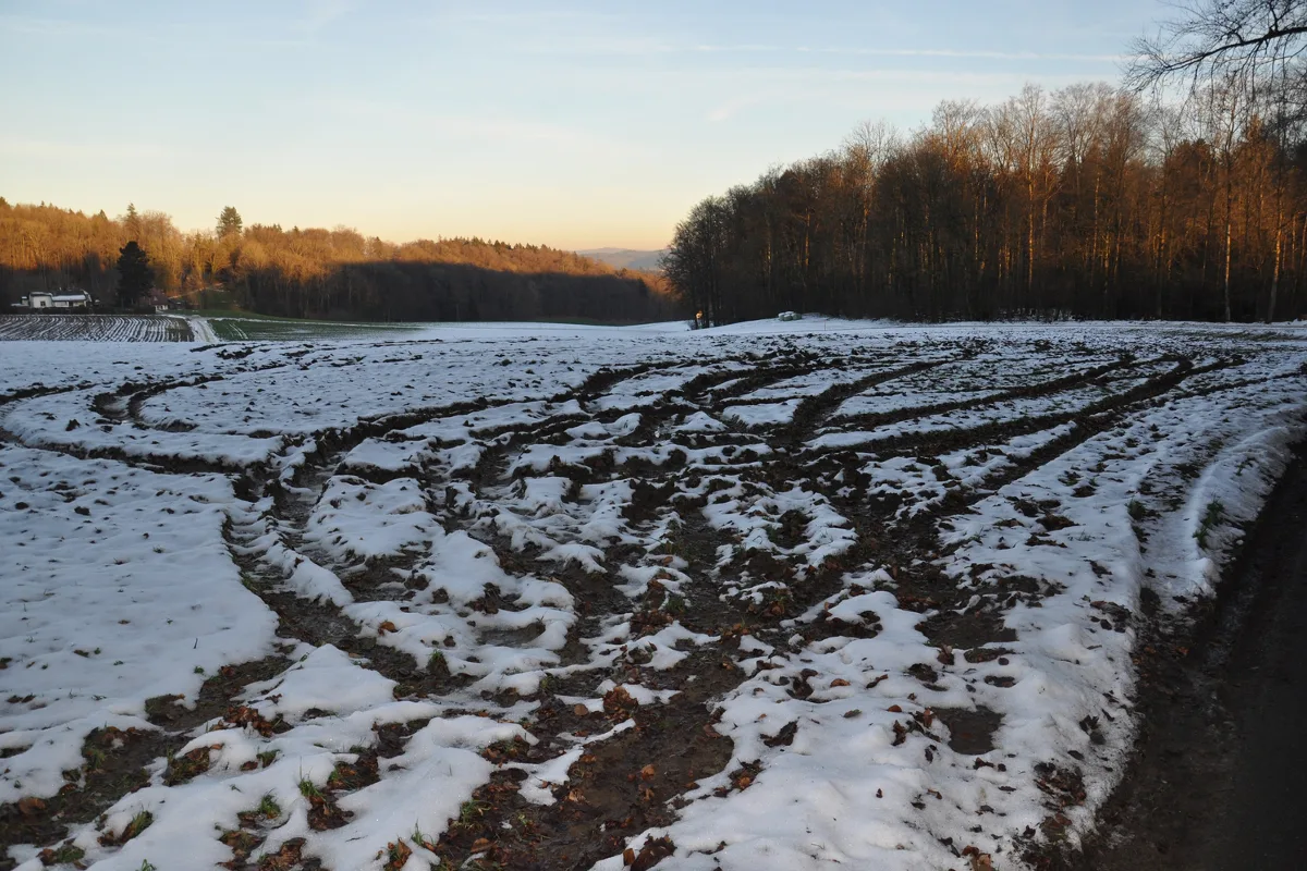 Landschaden in Walterswil verursacht