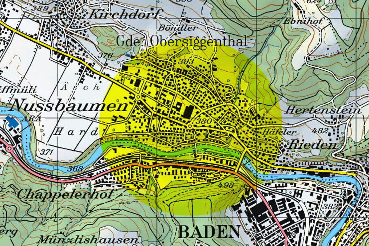 Einbrecher haben es auf Nussbaumen abgesehen
