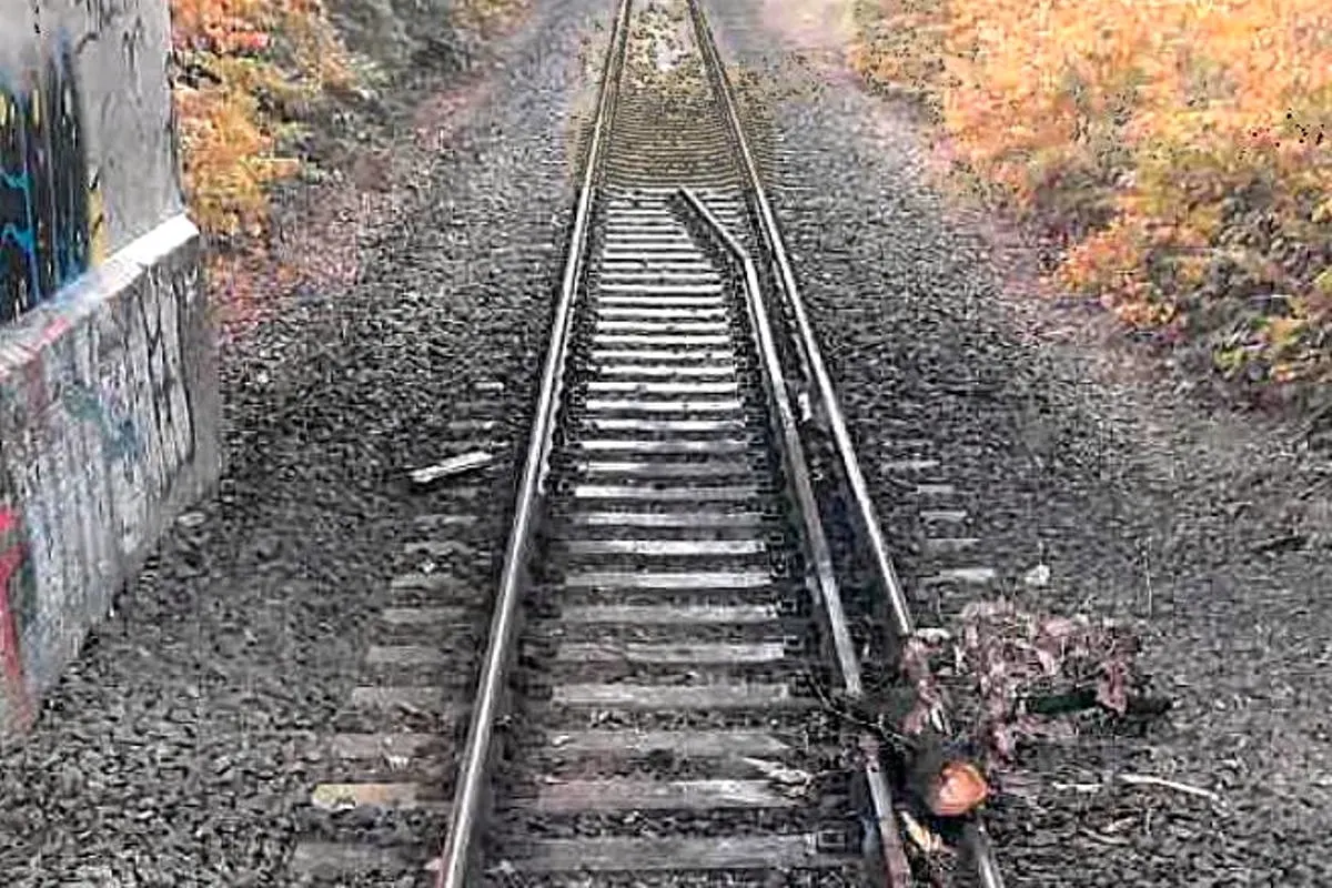 Brunsbrock HB - Äste und Metallteile auf Bahnstrecke gelegt