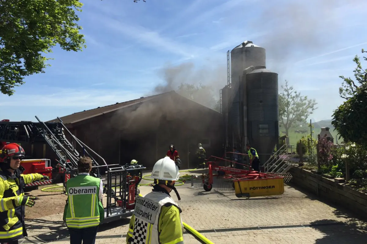 Düdingen FR - 6'000 Hühner bei Brand verendet