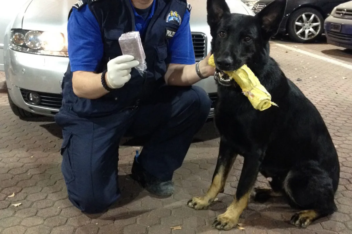 Polizeihund Jack spürt in Basel Drogen auf
