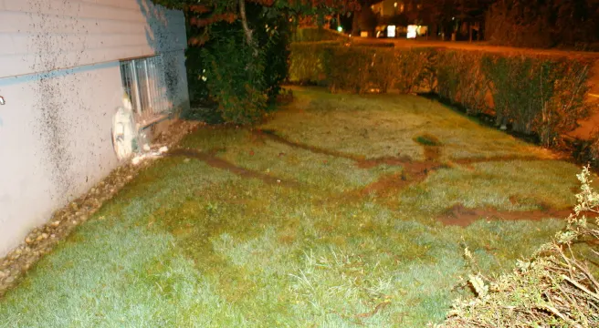 Nach Verfolgungsjagd in Dübendorf verunfallt