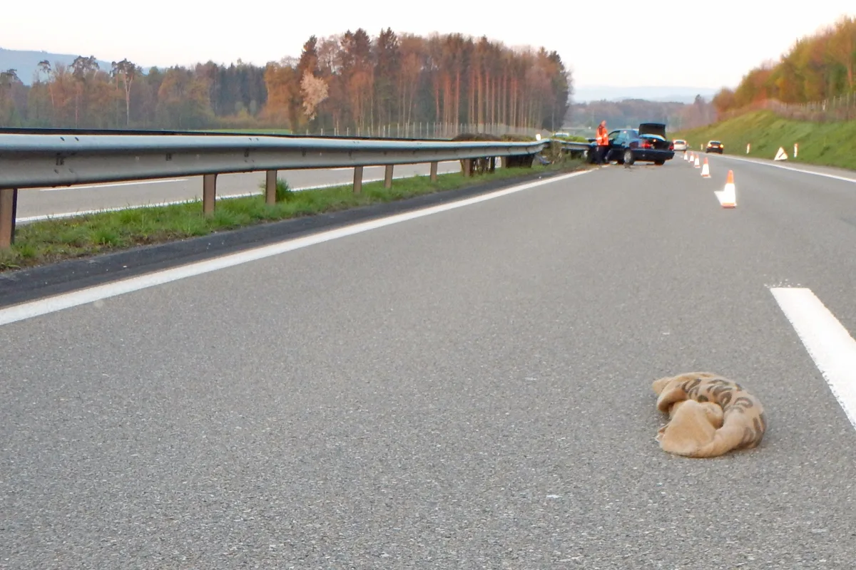 Wigoltingen TG - Nach Ausweichmanöver auf der A7 verunglückt