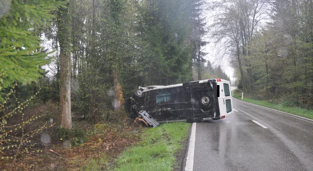 Fulenbach: Mit Lieferwagen in Baum gedonnert