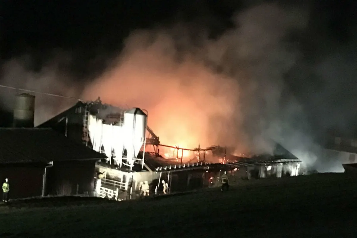 Densbüren AG - Grossbrand zerstört Bauernhof 