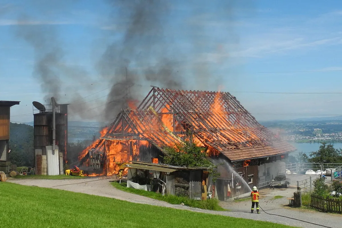 Brand zerstört Stall in Galgenen
