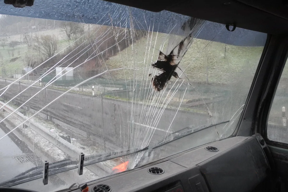 Rauchentwicklung aus Lastwagen in Steinen