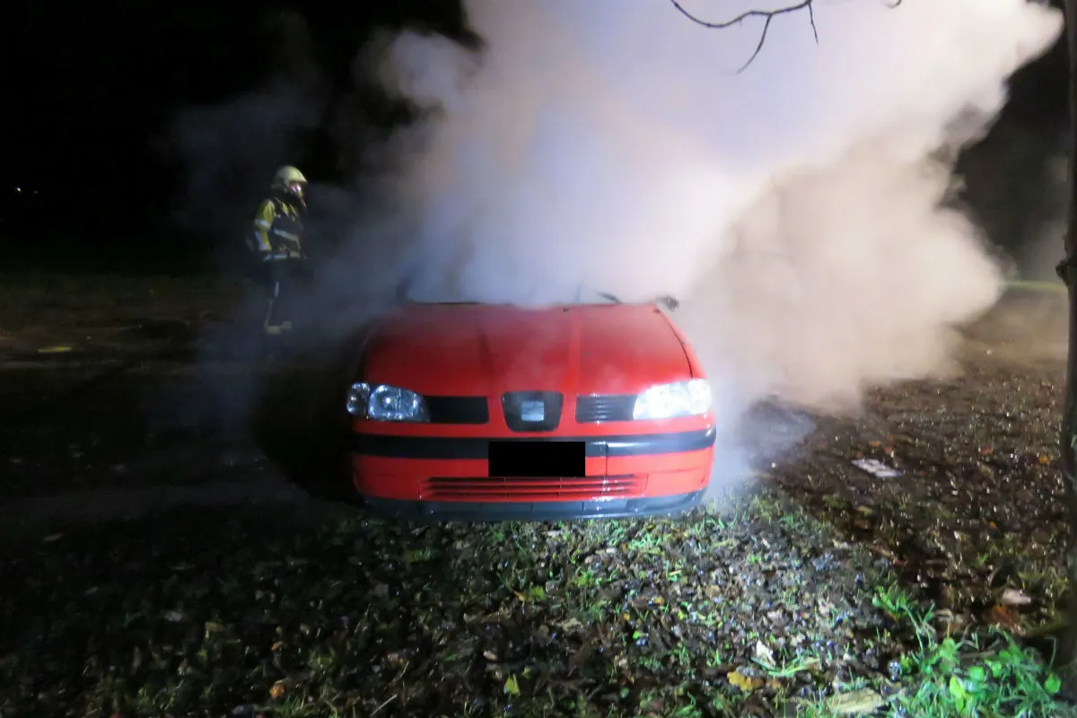 Buchs AG - Junge Vandalen und Brandstifter ermittelt