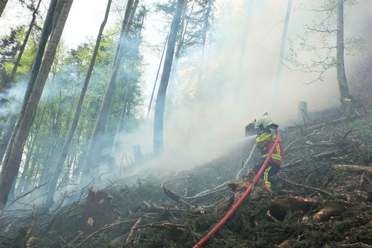 Dicken SG - Wald in Flammen