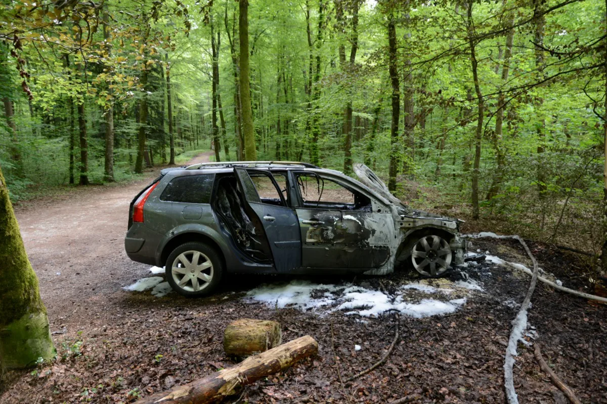 Personenwagenbrand in Beringer Wald