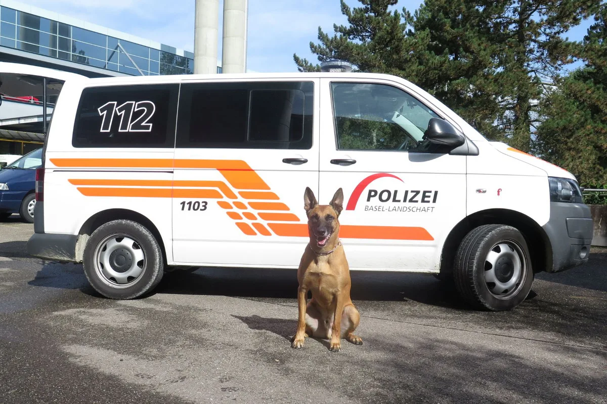 Muttenz BL - Polizeihund Vero de la Videmanette stöbert Einbrecher auf