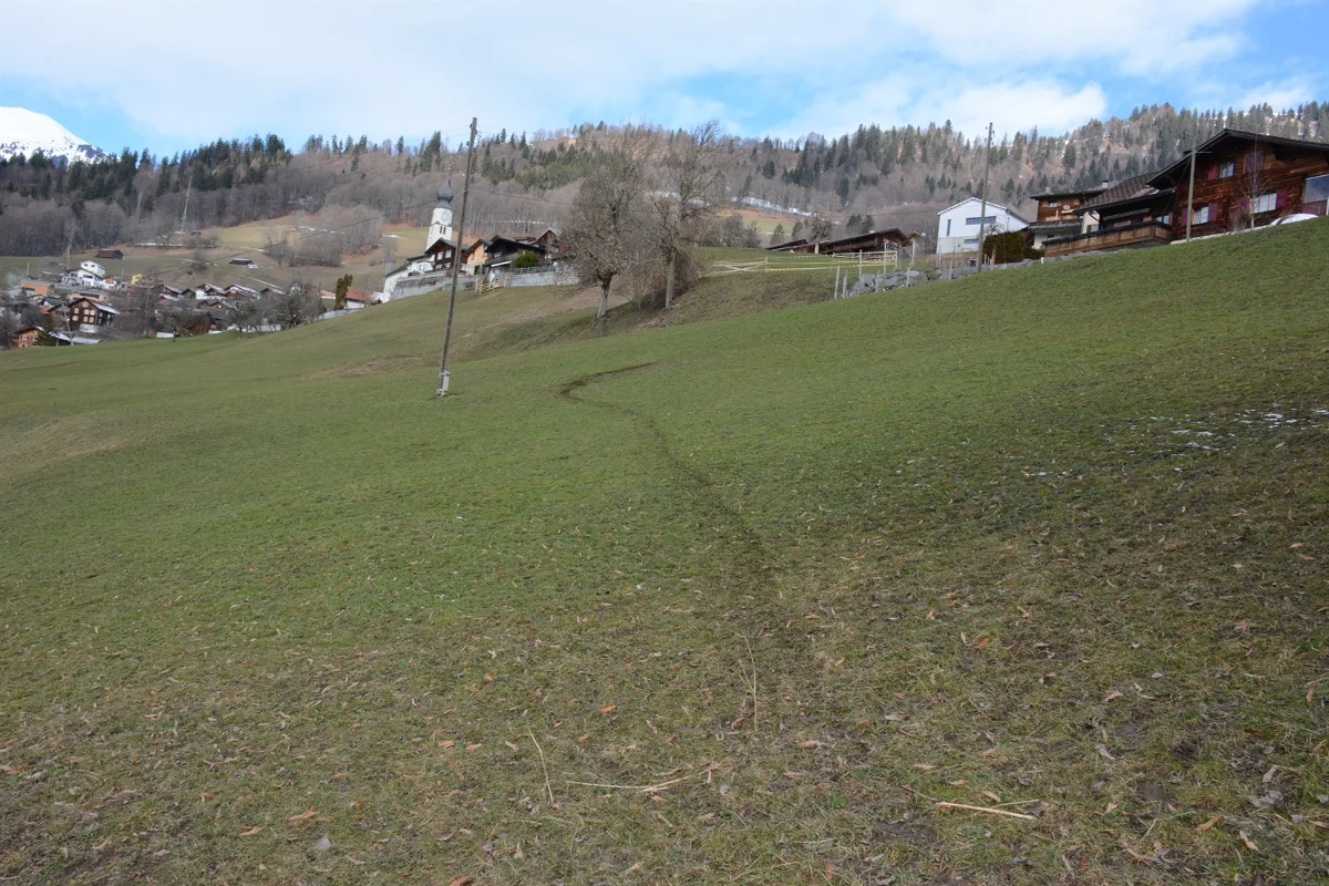 Wilderer erlegt Hirsch bei Fanas - Zeugenaufruf