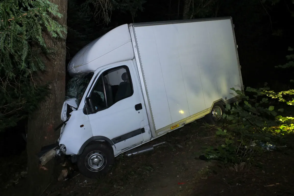 Libingen: Lieferwagen donnert frontal in Baum
