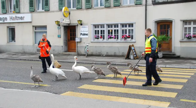Kreuzlingen: Polizeieskorte für Familie Schwan