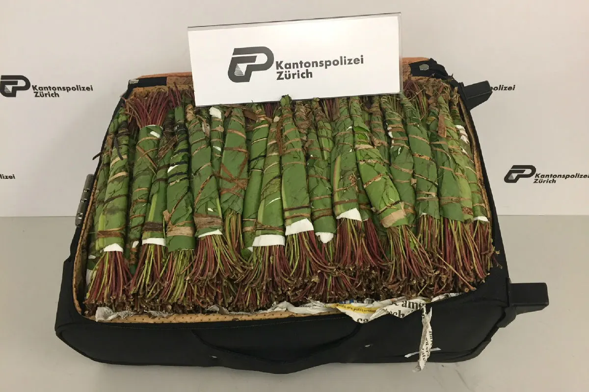 Flughafen Zürich ZH - Zwei Drogendealer verhaftet