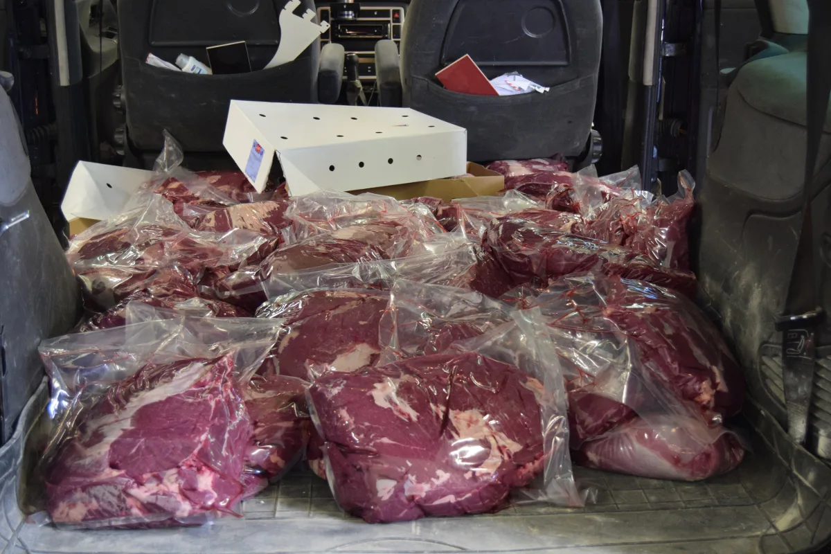 Dörflingen: 300 Kilo geschmuggeltes Fleisch sichergestellt
