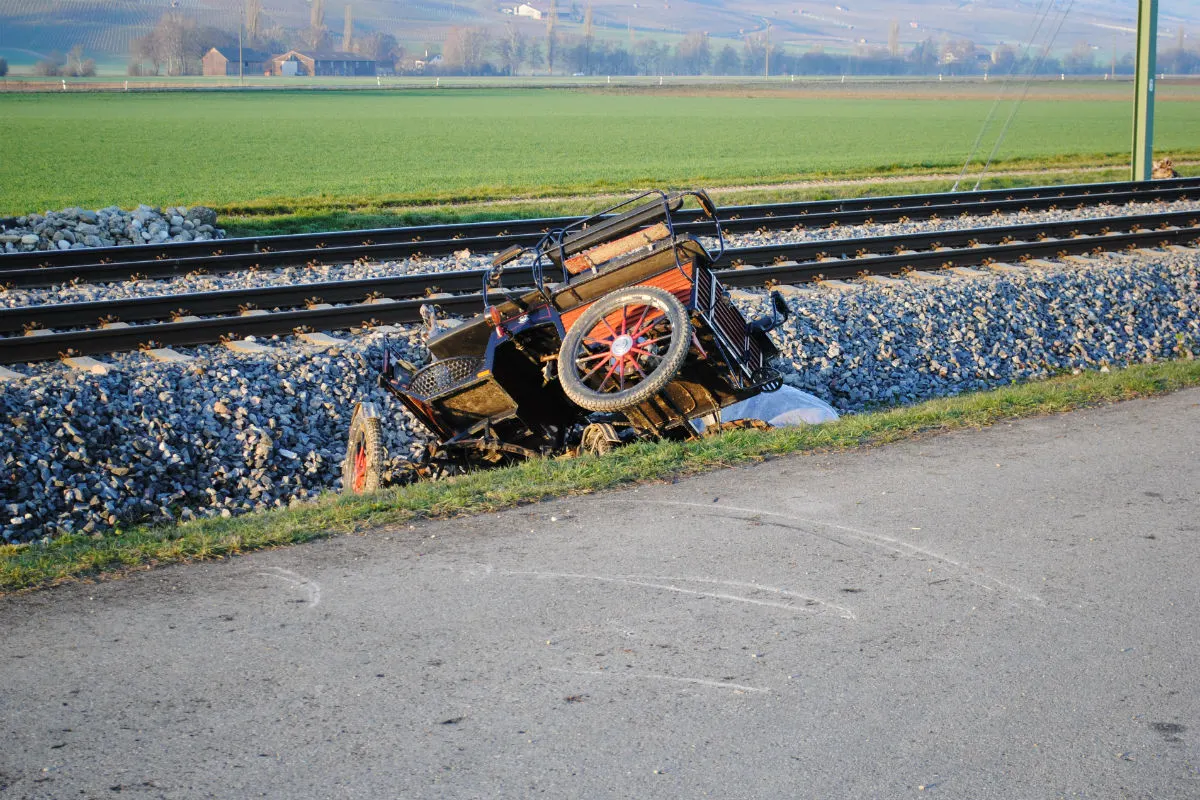 Eine Person bei Kutschenunfall in Trasadingen verletzt