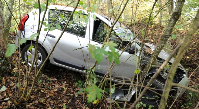 In Glattfelden mit Pkw gegen Baum geprallt