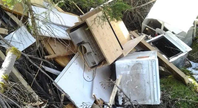 Unbekannte setzen komplette Küche im Flimser Grosswald aus