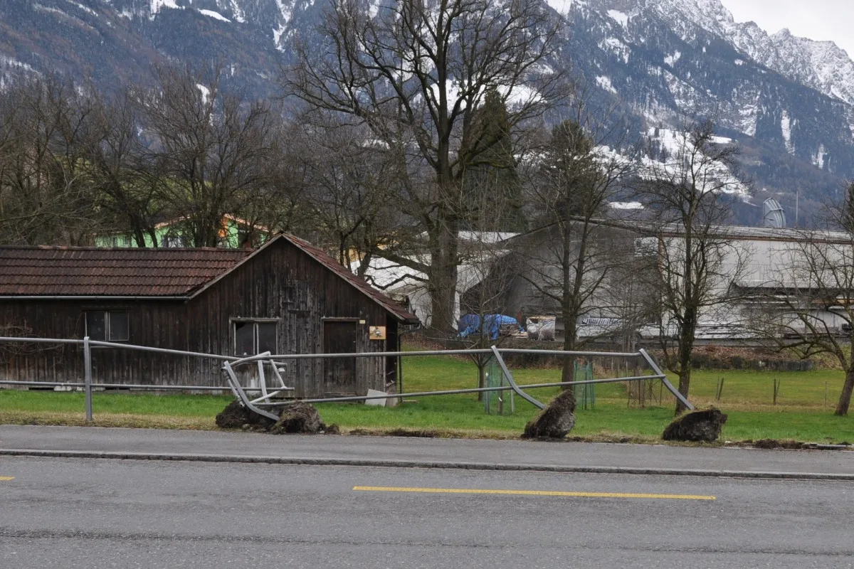 In Eschen gegen Metallzaun gefahren - Zeugenaufruf