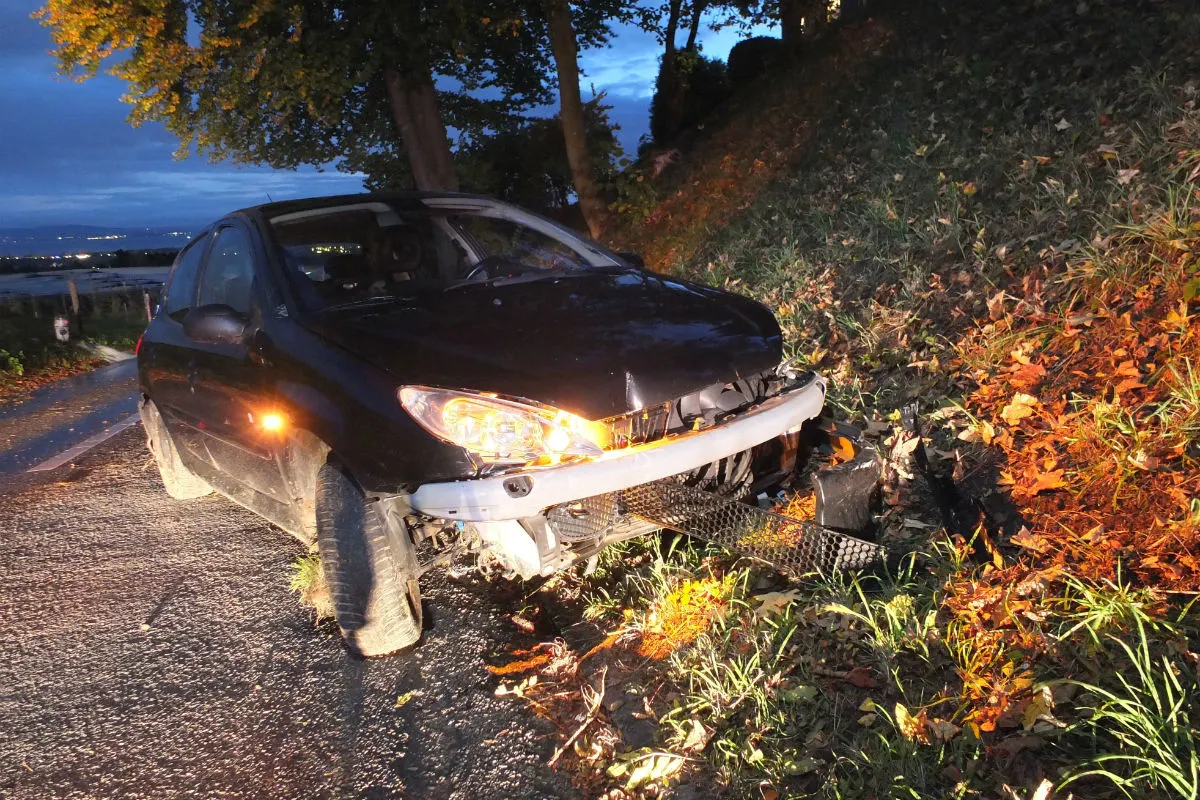 Berg SG - Unter Drogeneinfluss in Hydrant gefahren