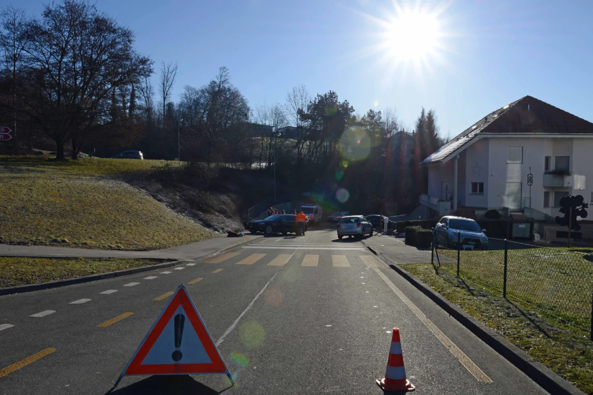 Mann und Hund in Eich auf Zebrastreifen frontal von Auto erfasst