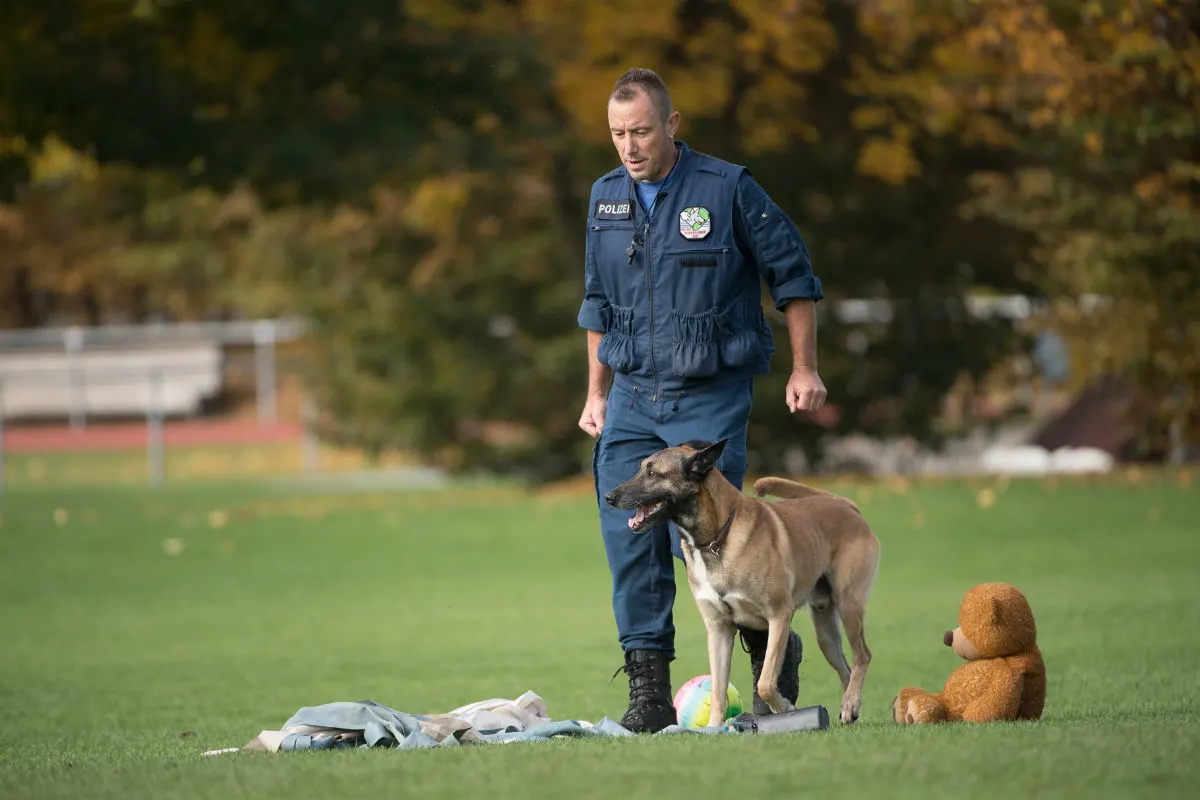 Risch-Rotkreuz ZG - Lennox gewinnt die Polizeihundeprüfung