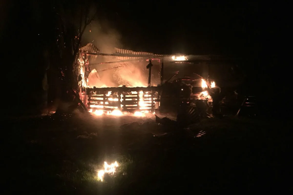 Niederhelfenschwil SG - Brand auf Bauernhof