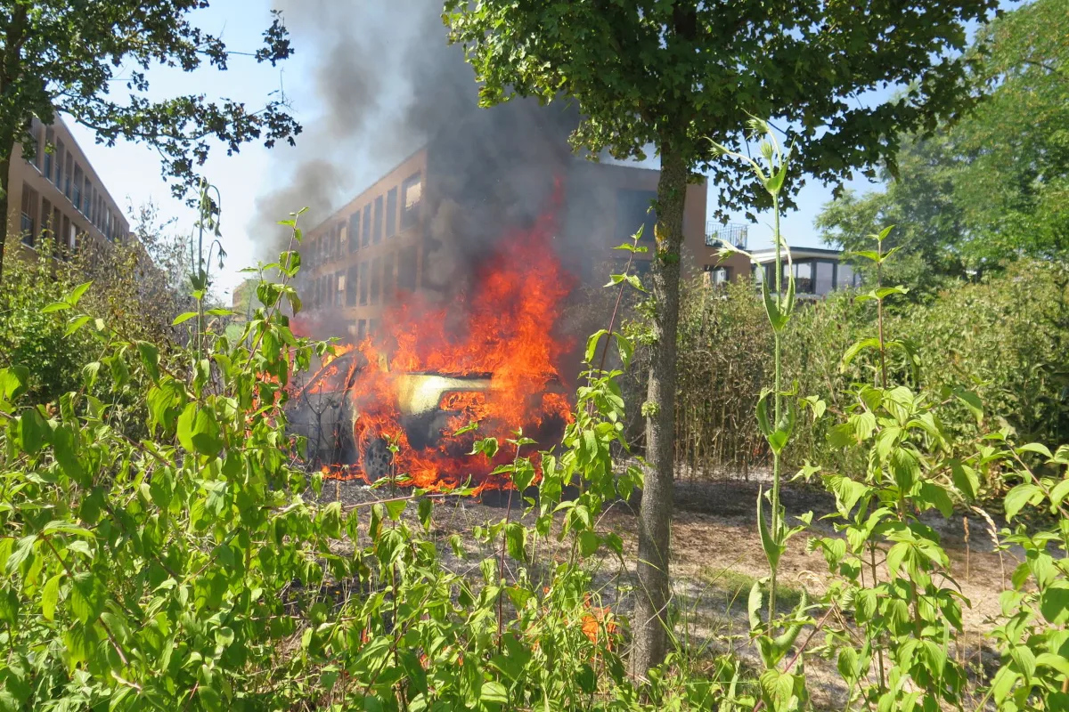 Auto brennt in Allschwil lichterloh