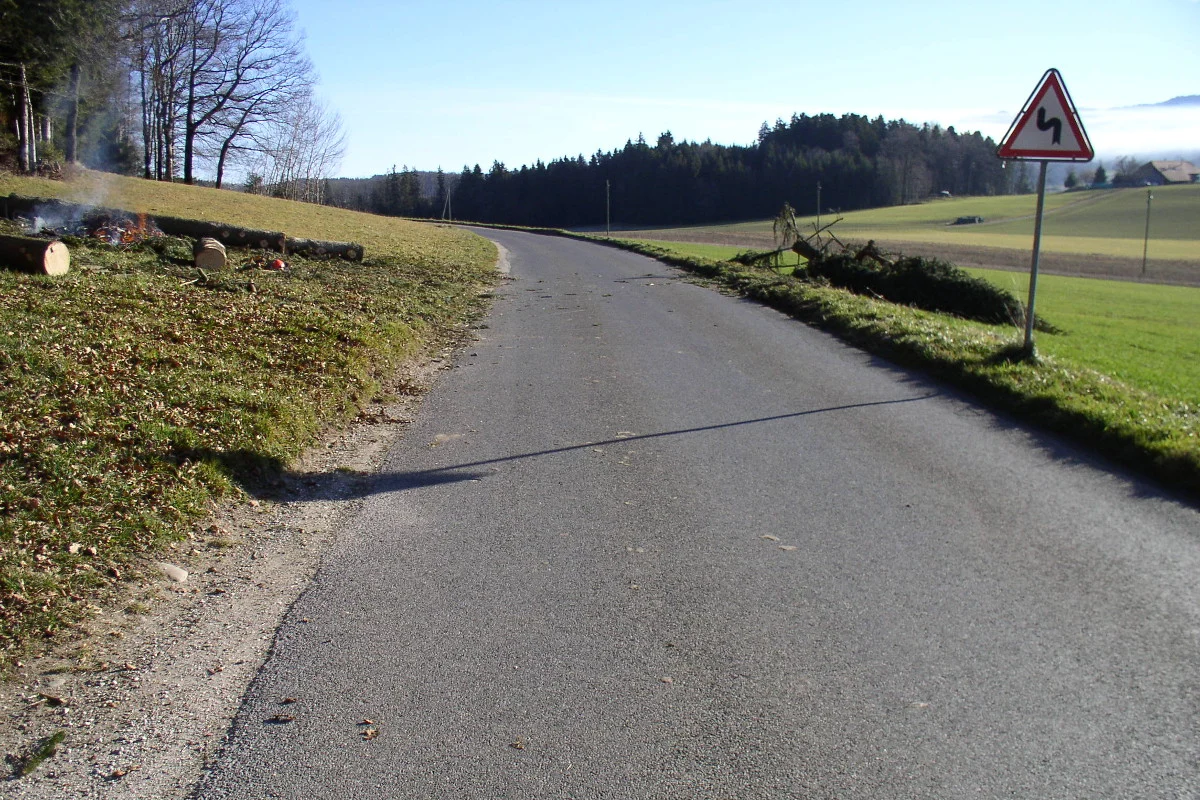 Sensebezirk: Illegale Holzfäller identifiziert