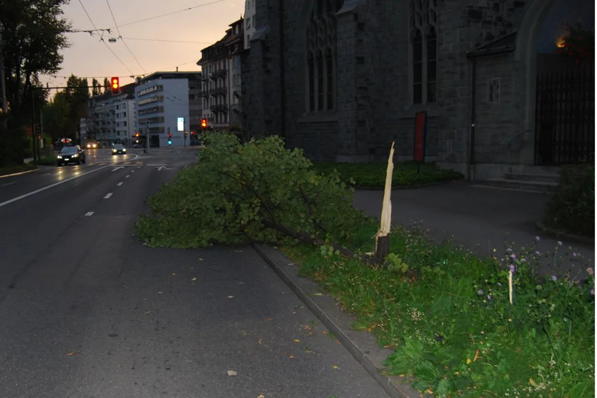 In Luzern alkoholisiert gegen Baum gefahren