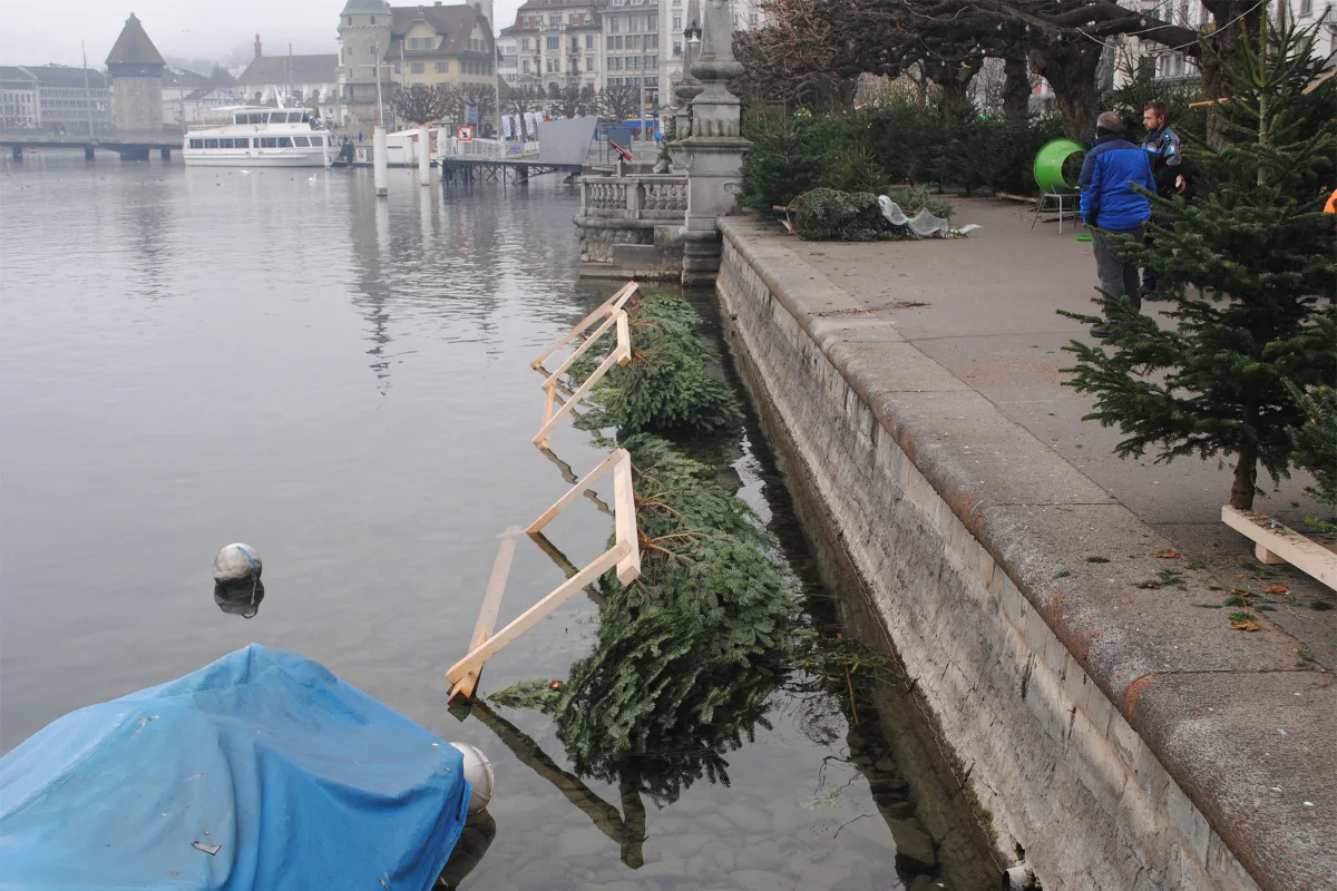 Luzern LU -  Christbäume in den Vierwaldstättersee geworfen