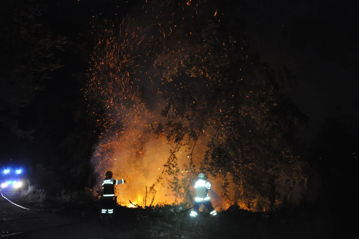 Waldbrand in Oberbuchsiten erfordert Feuerwehr-Einsatz