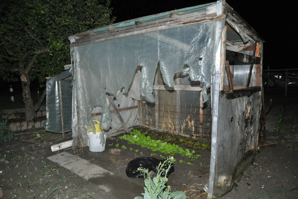Balzers FL - Brandstiftung in Schrebergarten