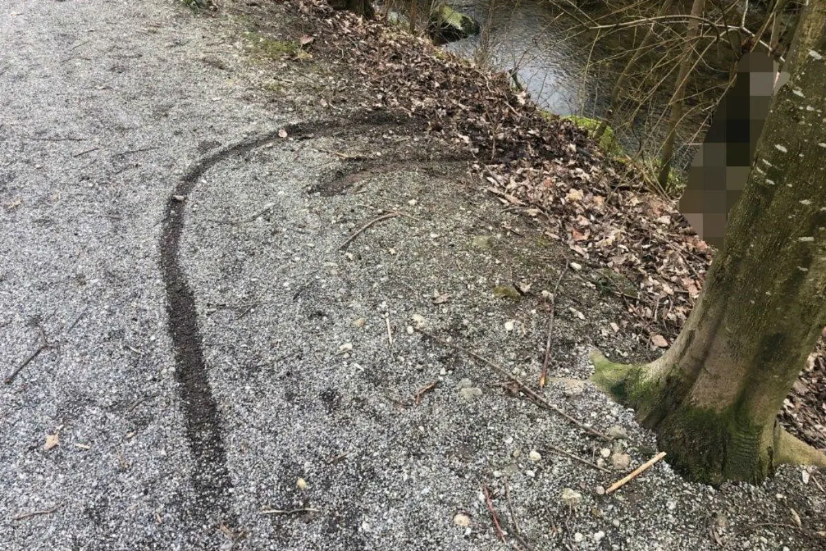 St. Gallen  - Rollstuhlfahrer aus misslicher Lage im Bachbett der Steinach gerettet!