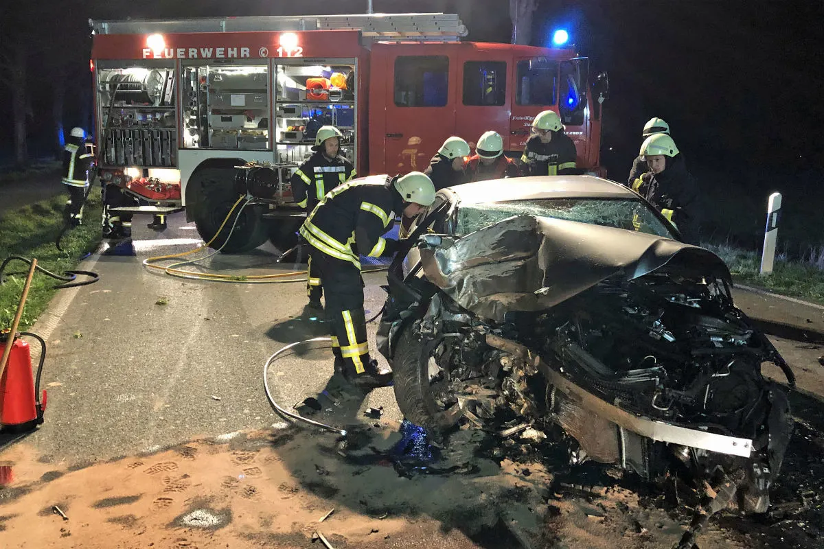 Mann fährt frontal in Baum am Strassenrand