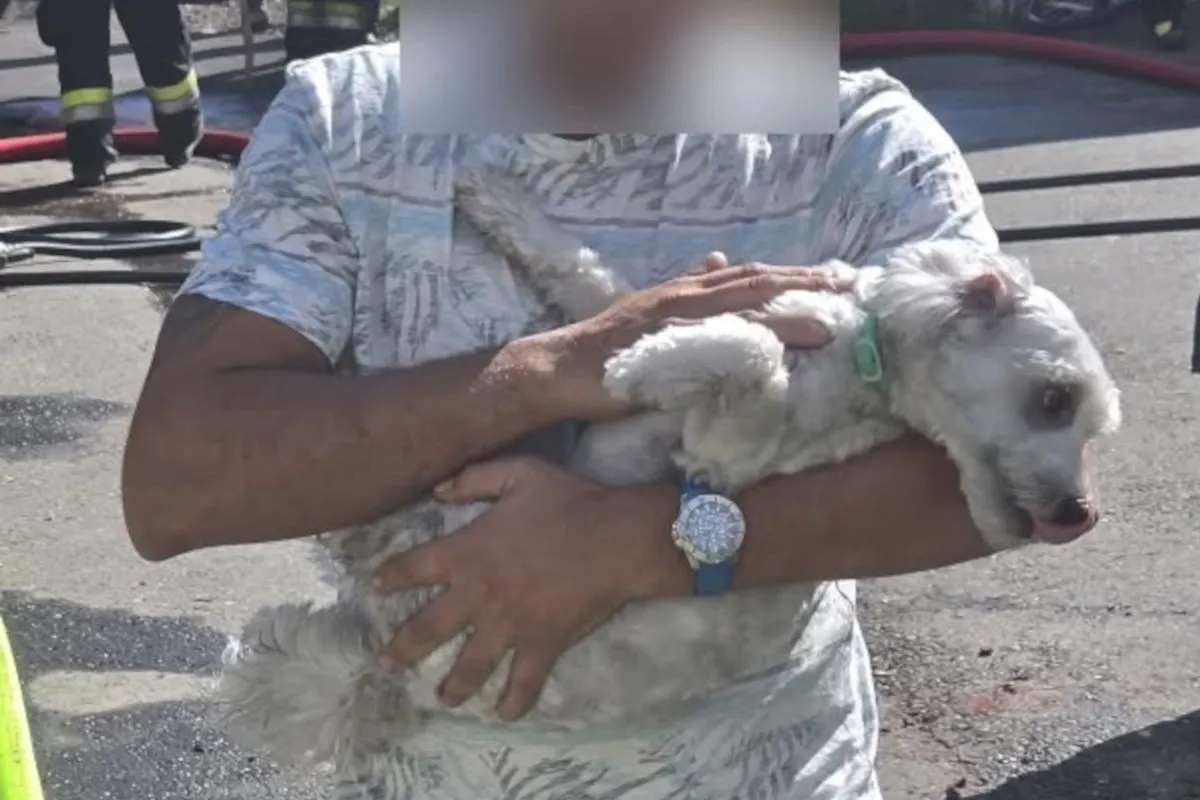Ein Mann in einem gemusterten T-Shirt hält einen kleinen weißen Hund in den Armen, während Feuerwehrschläuche im Hintergrund zu sehen sind.
