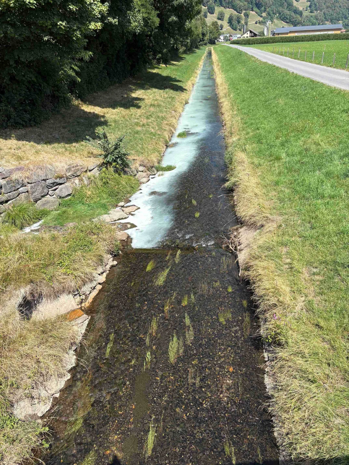 Ein geradliniger Bach verläuft durch eine ländliche Landschaft. Das Wasser ist teilweise milchig-weiß verfärbt.