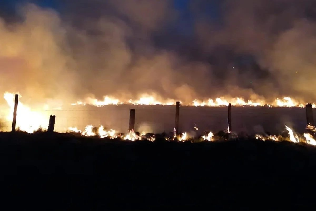 Bad Meinberg - Wiese in Flammen - Feuer drohte auf Gewerbekomplex überzugreifen